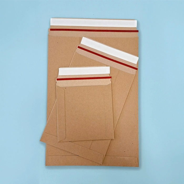 Custom Packaging Rigid Mailer