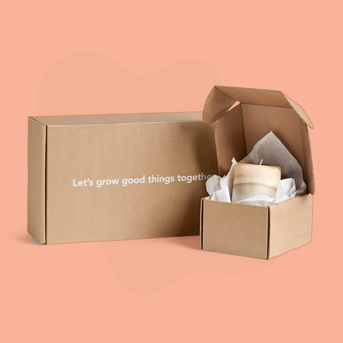 Custom Printed Paperboard Mailers